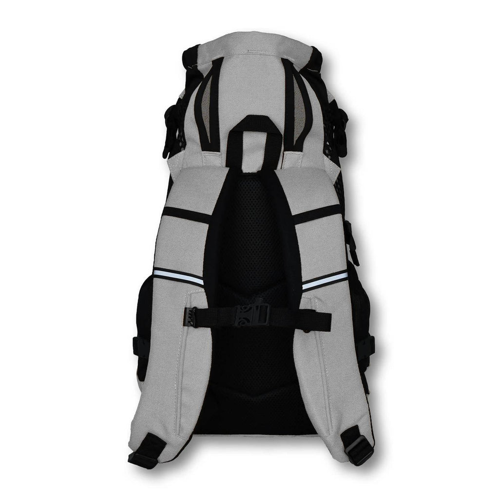 Plus 2 Dog Backpack