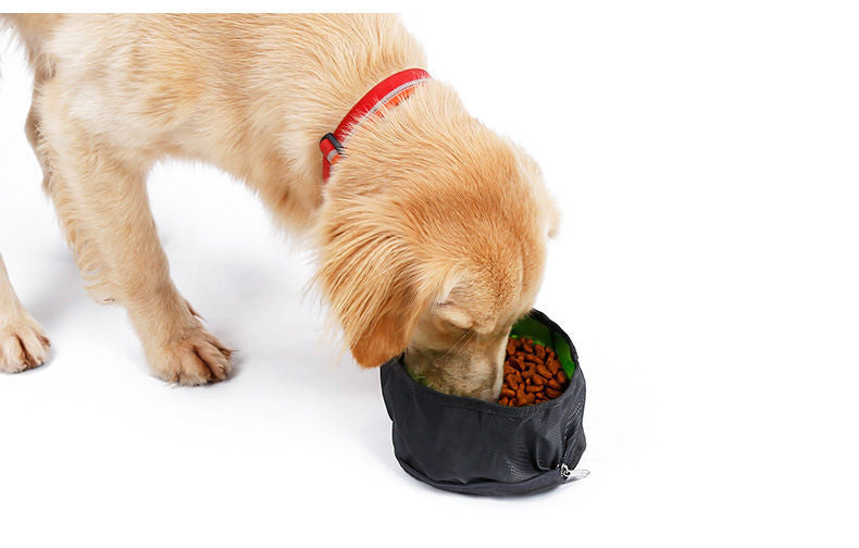Travel Packable Dog Bowl - Green and Pink