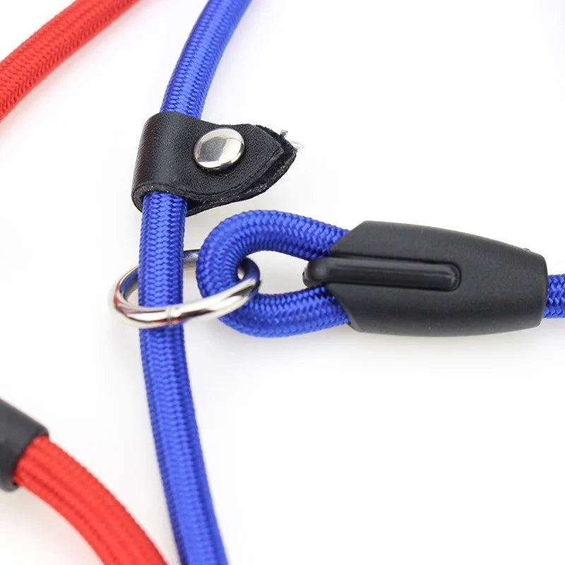 Adjustable Nylon Rope Dog Leash – 130 cm / 51 in Training Lead, Collar-Style Leash for Small/Medium/Large Dogs (S/M/L)